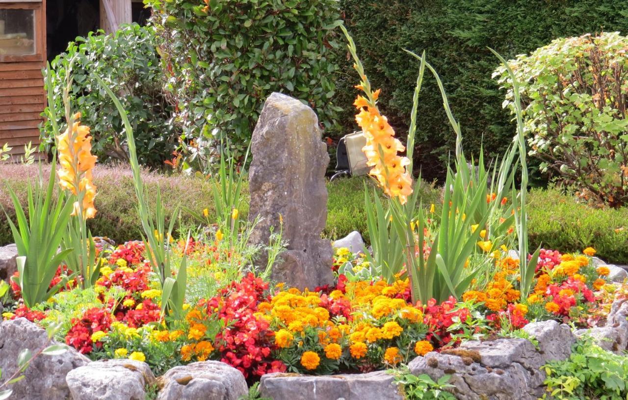 Tyreda Bed & Breakfast Ennis Exterior photo